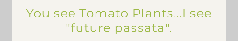 You see Tomato Plants...I see "future passata".